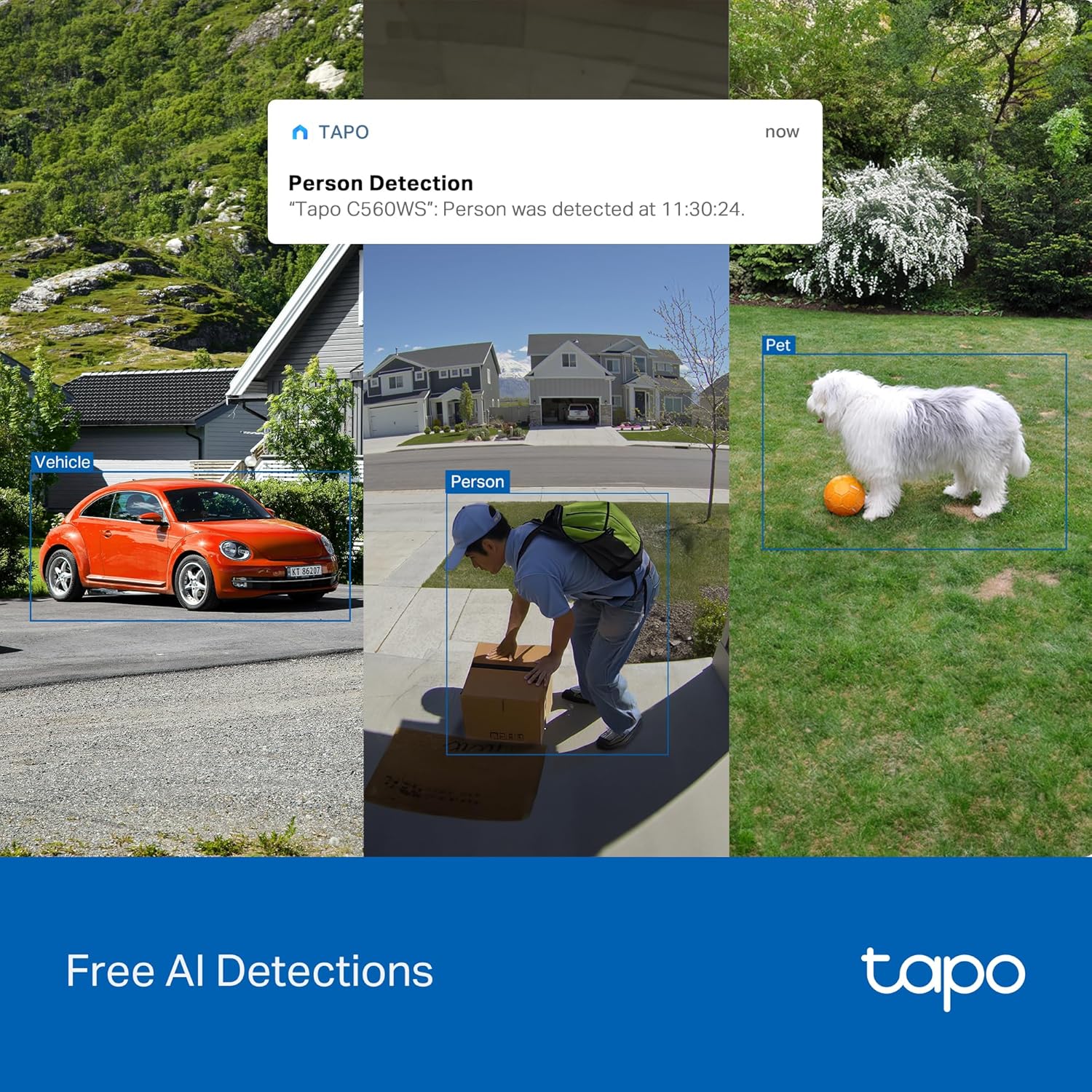 4K Pan/Tilt Outdoor Security Camera with Smart Hub, Tapo C560WS 4-Pack + H500 - Image 9