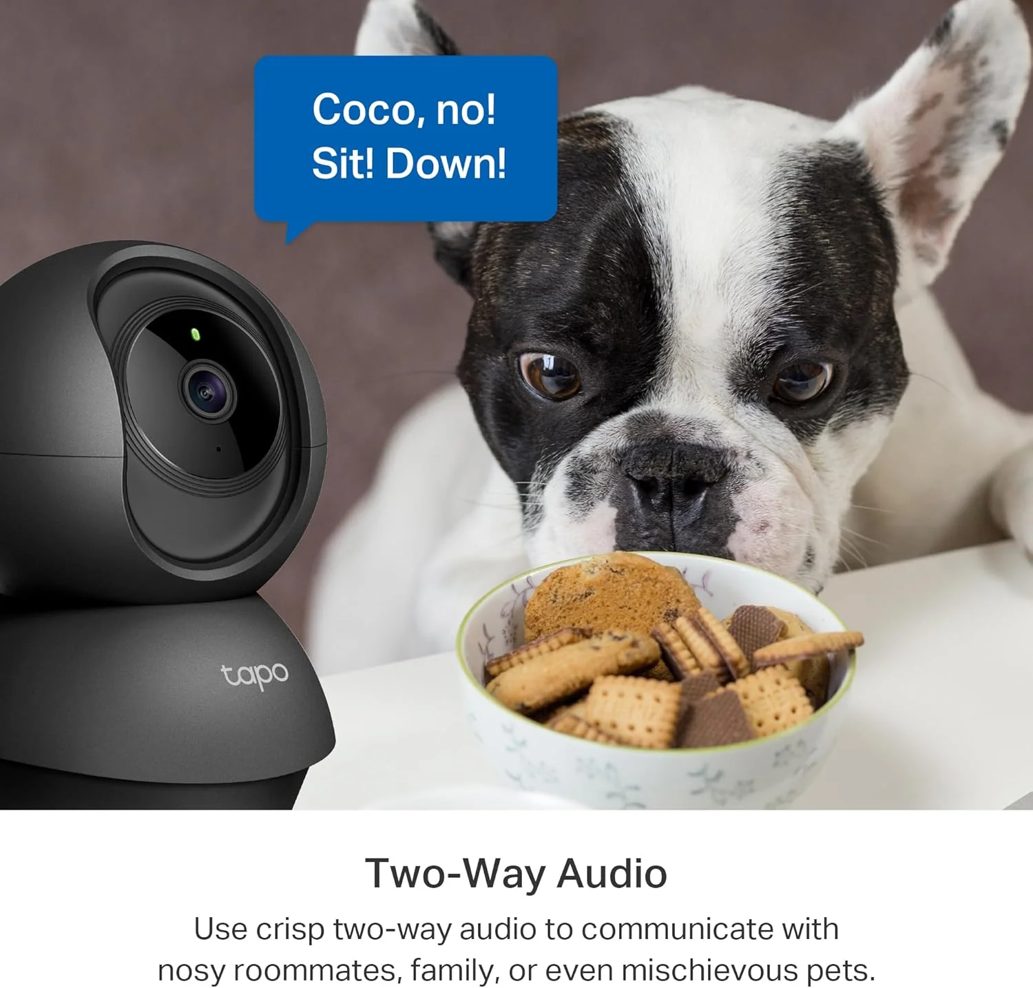 Pan/Tilt 2K Indoor Camera Black, Tapo C211(2-Pack) - Image 6