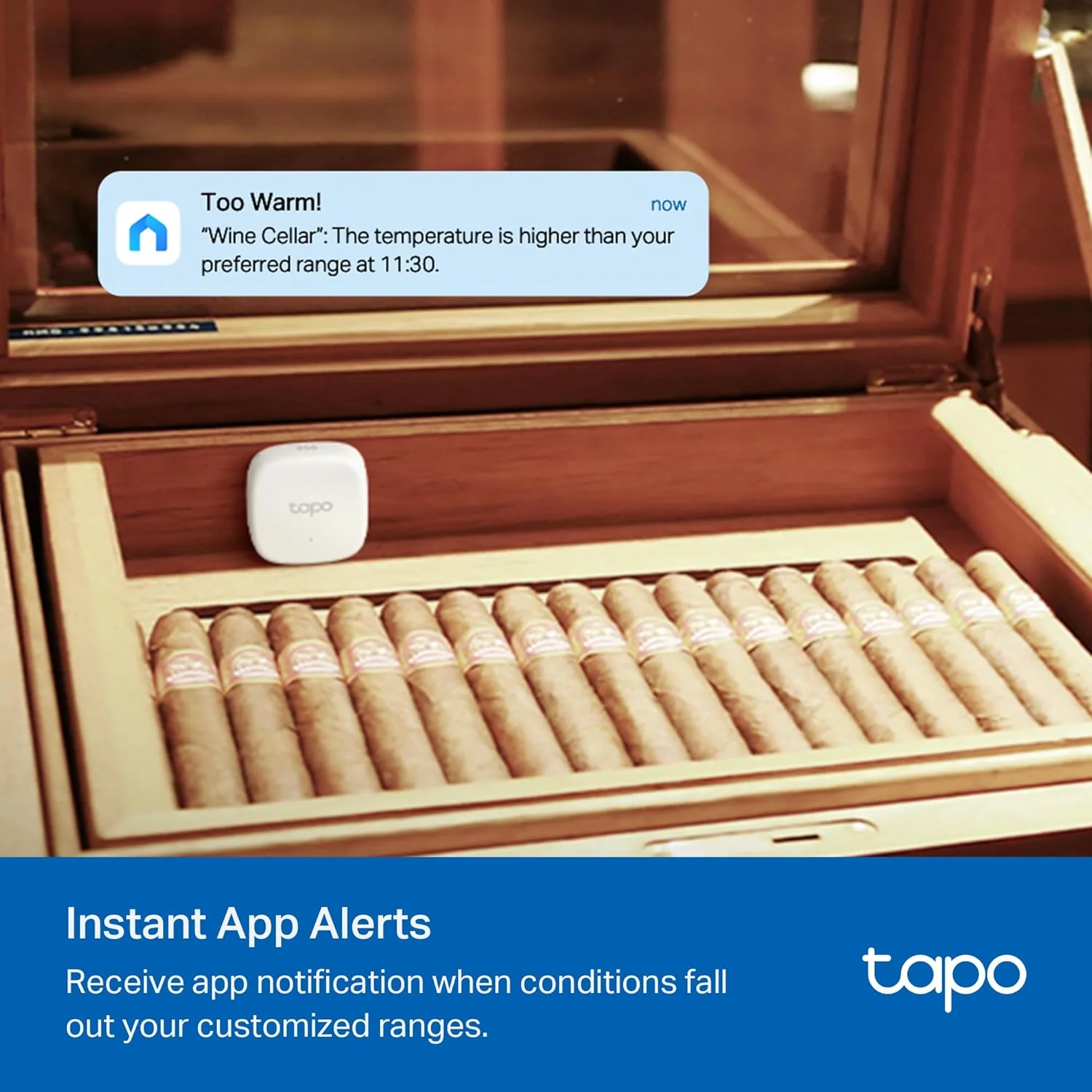 Smart Temperature & Humidity Sensor, Hub Required, Tapo T310 - Image 5